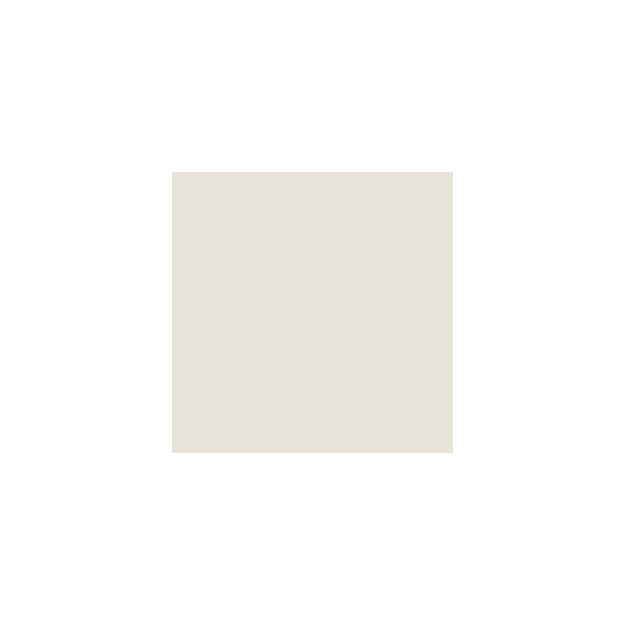 PRO ARCHITECTURA  3.0; neutral white 10x10 cm; zidne pločice
